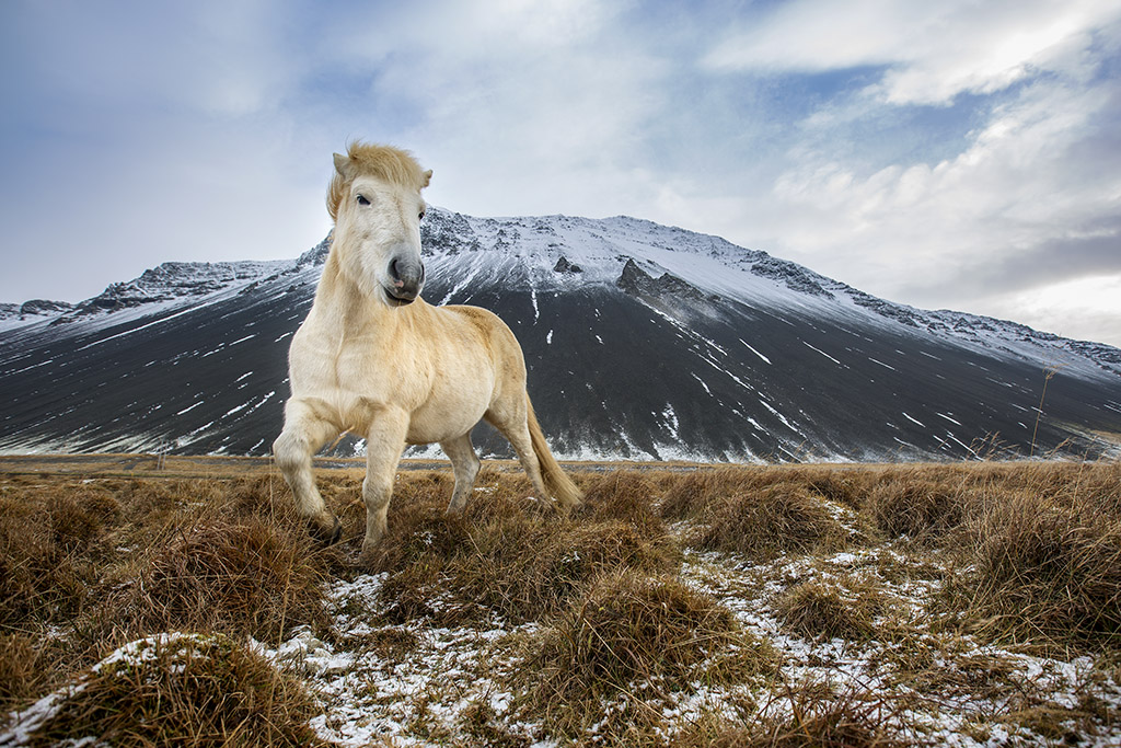 Icelandic Landscape Photography