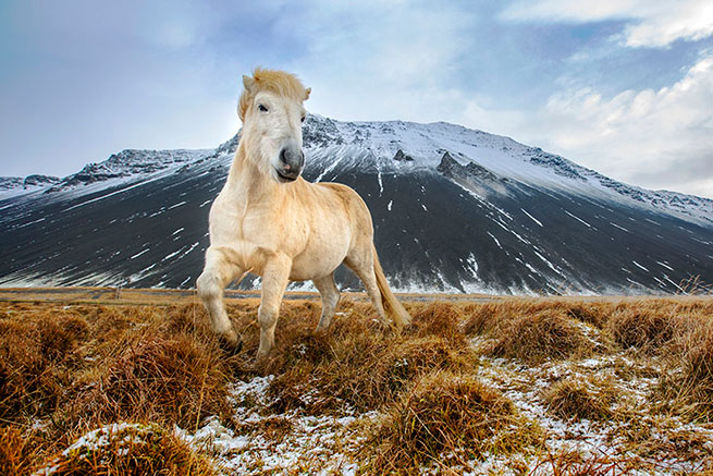 Landscape Photographer Travel Photography Iceland
